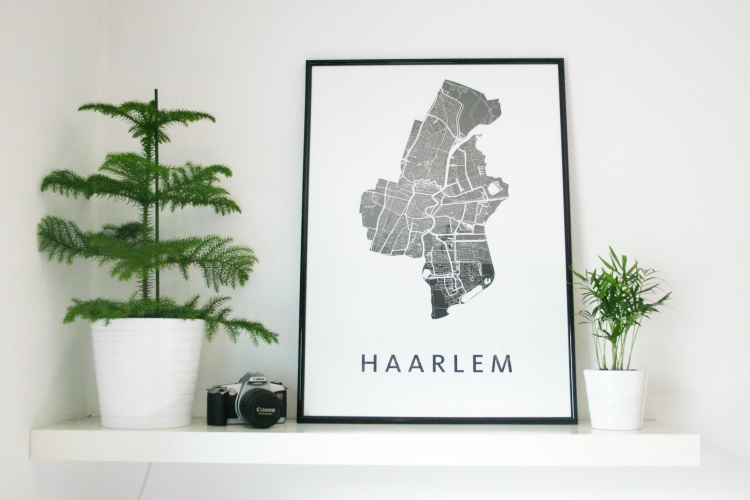 Citymap Haarlem